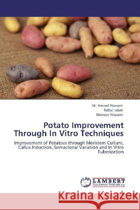 Potato Improvement Through In Vitro Techniques Hossain, Sk. Amzad, Islam, Rafiul, Hossain, Monzur 9783848414048