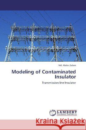 Modeling of Contaminated Insulator Salam, Md. Abdus 9783848416967