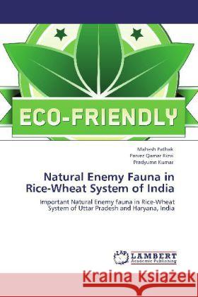 Natural Enemy Fauna in Rice-Wheat System of India Pathak, Mahesh, Rizvi, Parvez Qamar, Kumar, Pradyumn 9783848423415