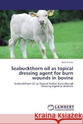 Seabuckthorn oil as topical dressing agent for burn wounds in bovine Kumar, Amit 9783848423941 LAP Lambert Academic Publishing