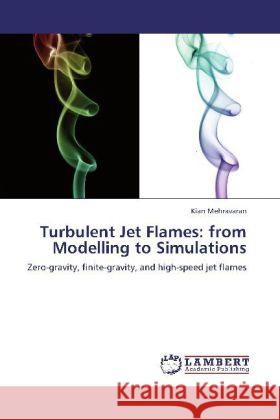 Turbulent Jet Flames: from Modelling to Simulations Mehravaran, Kian 9783848428434