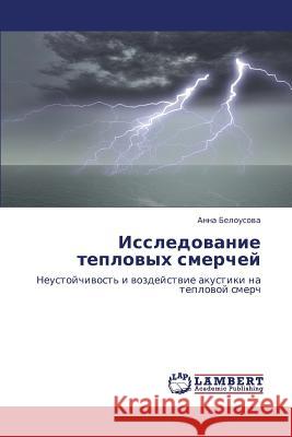 Issledovanie Teplovykh Smerchey Belousova Anna 9783848432509 LAP Lambert Academic Publishing