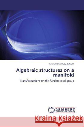 Algebraic Structures on a Manifold Mohammed Abu-Saleem 9783848432936