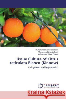 Tissue Culture of Citrus reticulata Blanco (Kinnow) Shaheen, Muhammad Rashid, Jaskani, Muhammad Jafar, Pervez, Muhammad Aslam 9783848435104