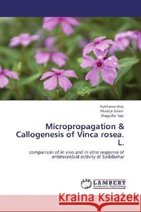 Micropropagation & Callogenesis of Vinca rosea. L. Rukhama Haq, Khadija Gilani, Shagufta Naz 9783848438174 LAP Lambert Academic Publishing