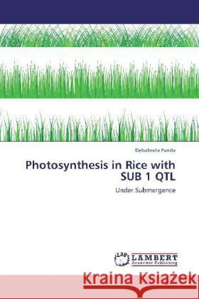 Photosynthesis in Rice with SUB 1 QTL Panda, Debabrata 9783848440900