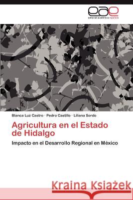 Agricultura En El Estado de Hidalgo Blanca Luz Castro Pedro Castillo Liliana Sordo 9783848450268