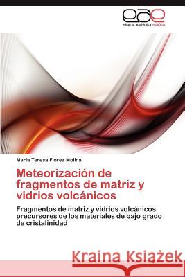 Meteorización de fragmentos de matriz y vidrios volcánicos Florez Molina María Teresa 9783848453238