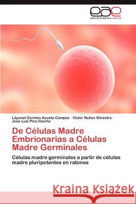 de Celulas Madre Embrionarias a Celulas Madre Germinales L. Yonal Germ N. Acost Victor N Jose Luis Pin 9783848454587 Editorial Acad Mica Espa Ola