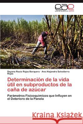 Determinacion de La Vida Util En Subproductos de La Cana de Azucar Dayana Rocio Roja Ana Alejandra Salvatierr 9783848457465