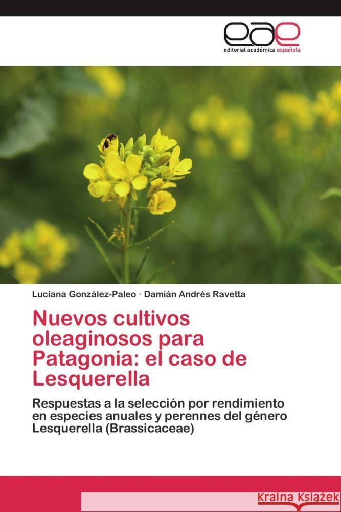 Nuevos cultivos oleaginosos para Patagonia: el caso de Lesquerella : Respuestas a la selección por rendimiento en especies anuales y perennes del género Lesquerella (Brassicaceae) González-Paleo, Luciana; Ravetta, Damián Andrés 9783848459490