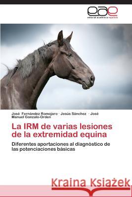La Irm de Varias Lesiones de La Extremidad Equina Fernandez Romojaro Jose 9783848460151 Editorial Academica Espanola