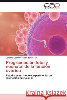 Programacion Fetal y Neonatal de La Funcion Ovarica Carolina Guz Elena Zambrano 9783848462384 Editorial Acad Mica Espa Ola