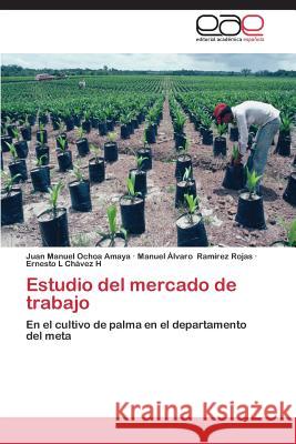 Estudio del Mercado de Trabajo Ochoa Amaya Juan Manuel 9783848465798 Editorial Academica Espanola