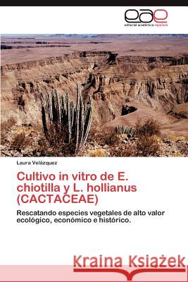 Cultivo in Vitro de E. Chiotilla y L. Hollianus (Cactaceae) Vel Zquez, Laura 9783848466269