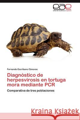 Diagnostico de Herpesvirosis En Tortuga Mora Mediante PCR  9783848469727 Editorial Acad Mica Espa Ola