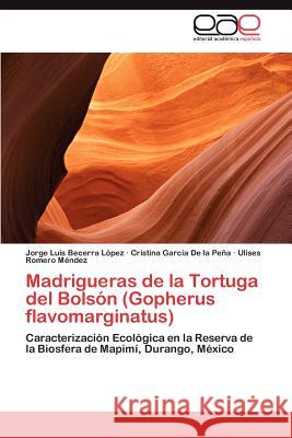 Madrigueras de La Tortuga del Bolson (Gopherus Flavomarginatus) Jorge Luis Becerr Cristina Gar Ulises Romer 9783848473311 Editorial Acad Mica Espa Ola