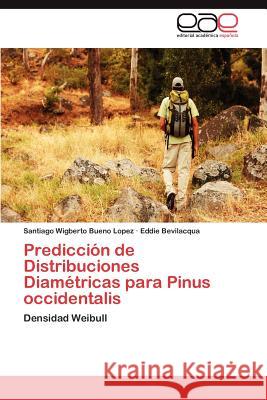 Prediccion de Distribuciones Diametricas Para Pinus Occidentalis Santiago Wigberto Buen Eddie Bevilacqua 9783848475070 Editorial Acad Mica Espa Ola