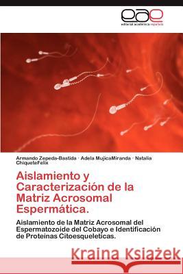 Aislamiento y Caracterizacion de La Matriz Acrosomal Espermatica. Armando Zepeda-Bastida Adela Mujicamiranda Natalia Chiquetefelix 9783848475193