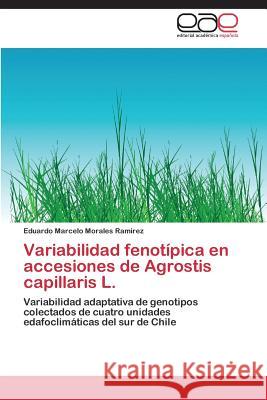 Variabilidad Fenotipica En Accesiones de Agrostis Capillaris L. Morales Ramirez Eduardo Marcelo 9783848477630