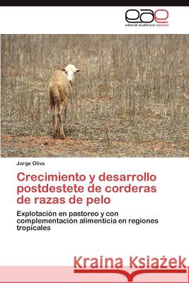 Crecimiento y Desarrollo Postdestete de Corderas de Razas de Pelo Jorge Oliva 9783848477951 Editorial Acad Mica Espa Ola