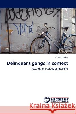 Delinquent gangs in context Anneri Venter 9783848480685