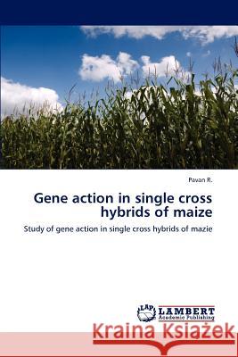 Gene action in single cross hybrids of maize R, Pavan 9783848487523