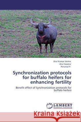 Synchronization protocols for buffalo heifers for enhancing fertility Verma, Atul Kumar, Saxena, Atul, P., Perumal 9783848487707