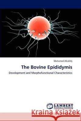 The Bovine Epididymis Mohamed Alkafafy 9783848488698 LAP Lambert Academic Publishing