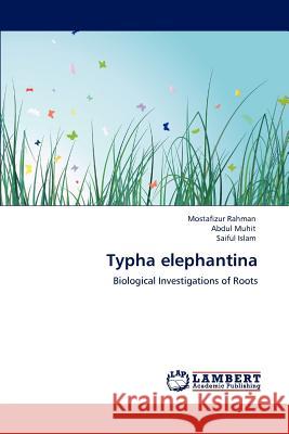 Typha elephantina Rahman, Mostafizur 9783848492787