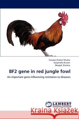 Bf2 Gene in Red Jungle Fowl Sanjeev Kumar Shukla Satyendra Kumar Deepak Sharma 9783848497539 LAP Lambert Academic Publishing