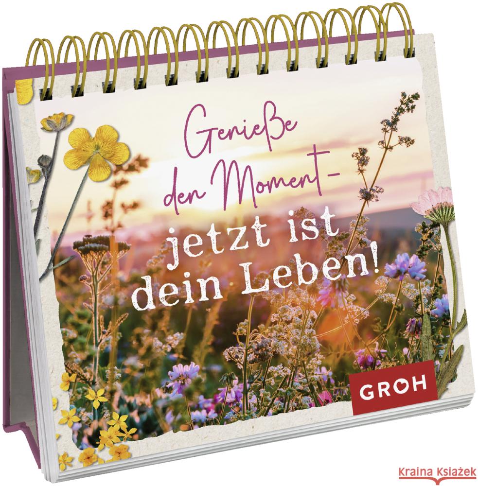 Genieße den Moment - jetzt ist dein Leben! Groh Verlag 9783848500741 Groh Verlag
