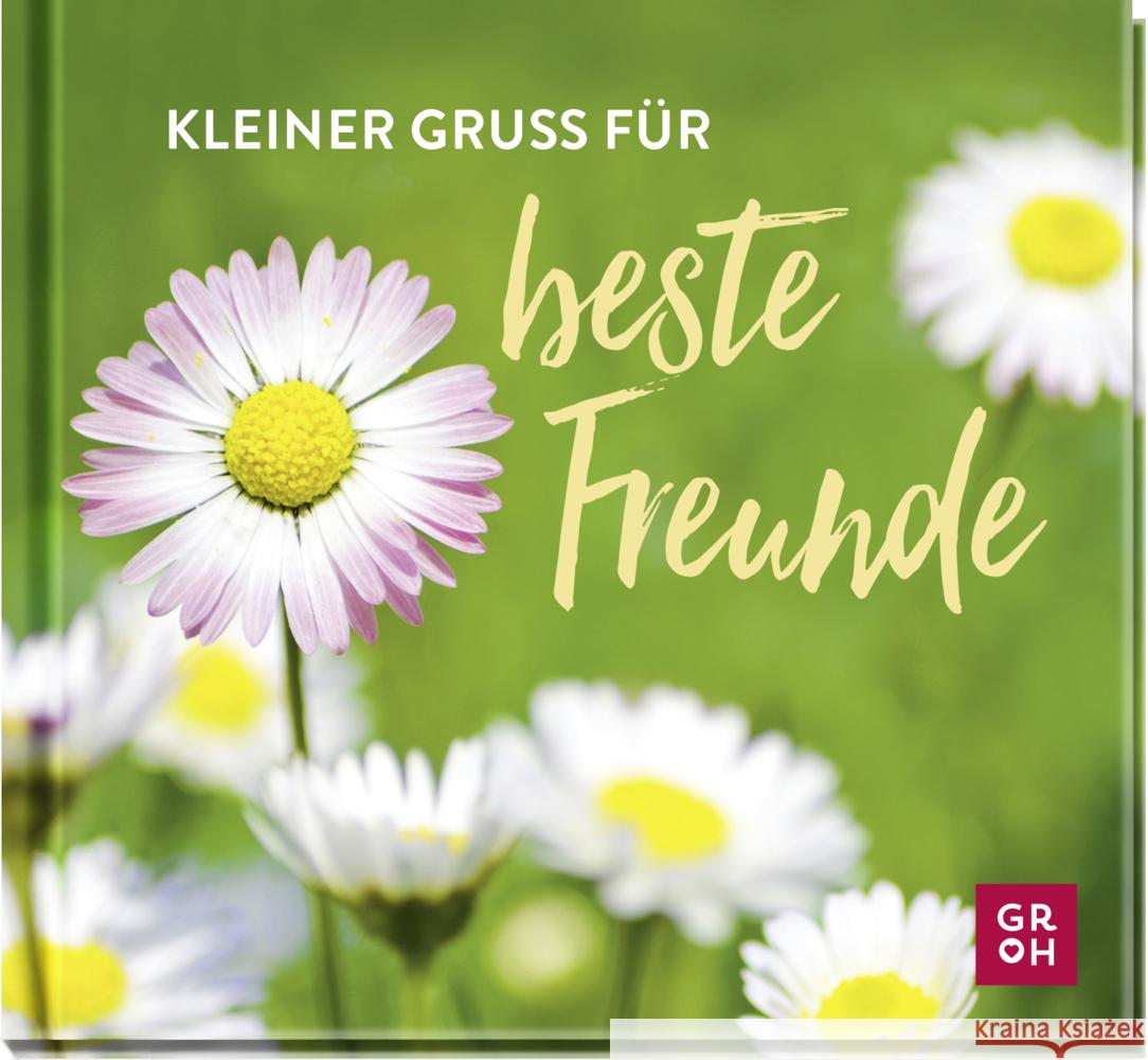 Kleiner Gruß für beste Freunde Groh Verlag 9783848501526 Groh Verlag