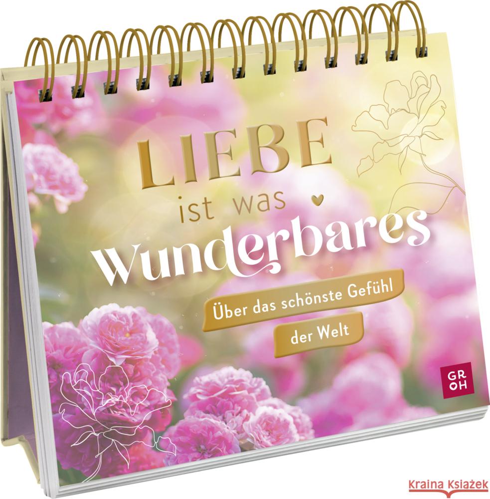 Liebe ist was Wunderbares Groh Verlag 9783848501731 Groh Verlag