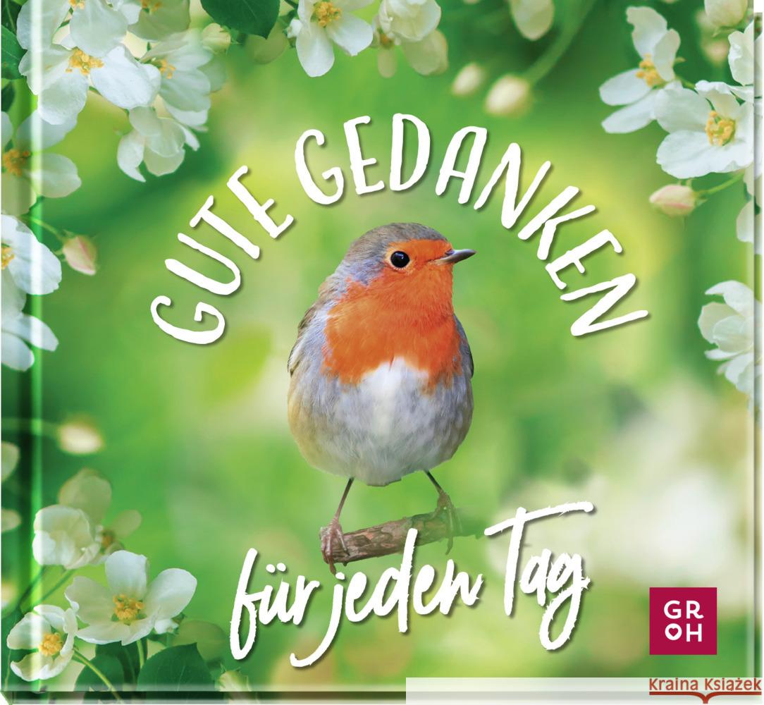 Gute Gedanken für jeden Tag Groh Verlag 9783848502189