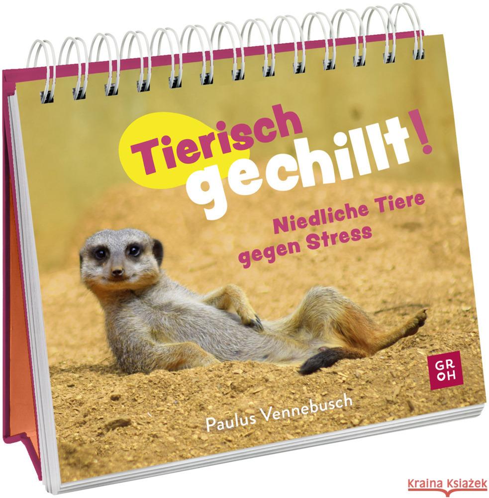 Tierisch gechillt! Vennebusch, Paulus 9783848502813