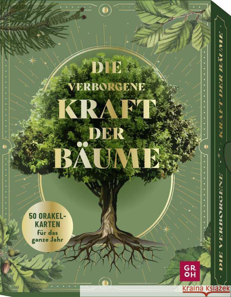 Orakelkarten: Die verborgene Kraft der Bäume Funk, Kristin 9783848503759