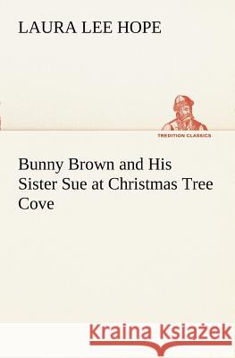 Bunny Brown and His Sister Sue at Christmas Tree Cove Laura Lee Hope 9783849170691 Tredition Classics