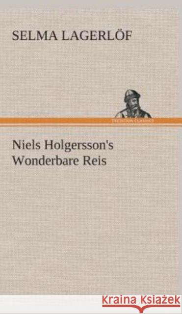 Niels Holgersson's Wonderbare Reis Selma Lagerlof 9783849543204