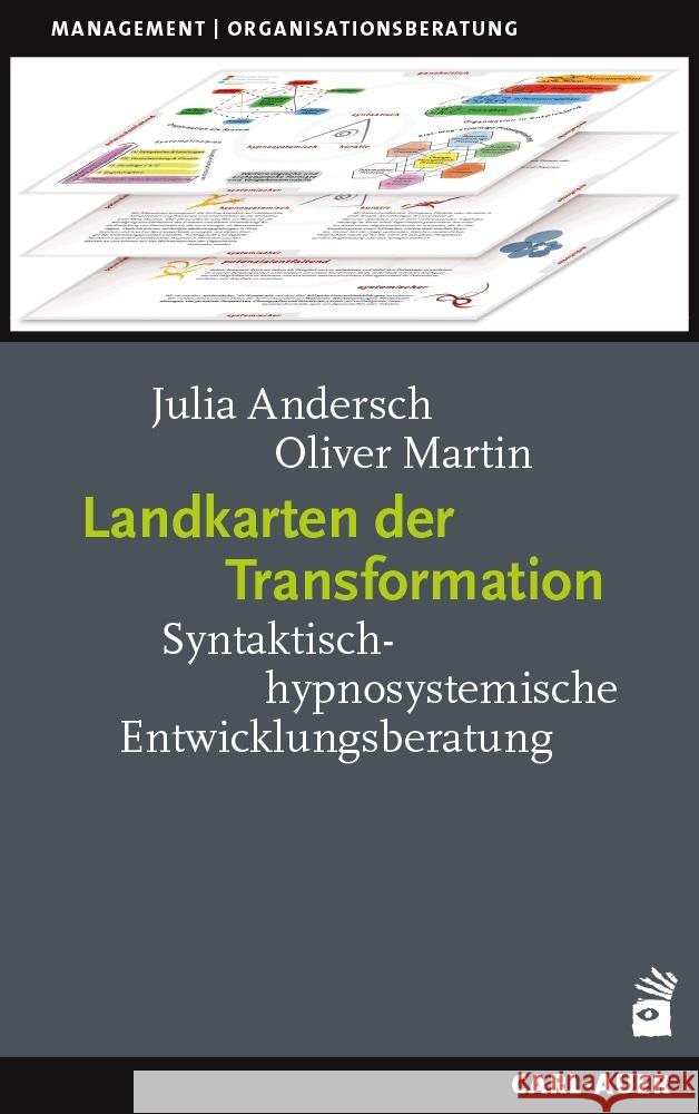 Landkarten der Transformation Andersch, Julia, Martin, Oliver 9783849705053