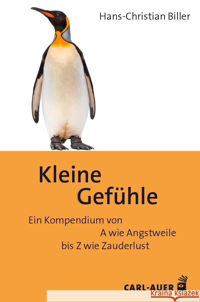 Kleine Gefühle Biller, Hans-Christian 9783849705275