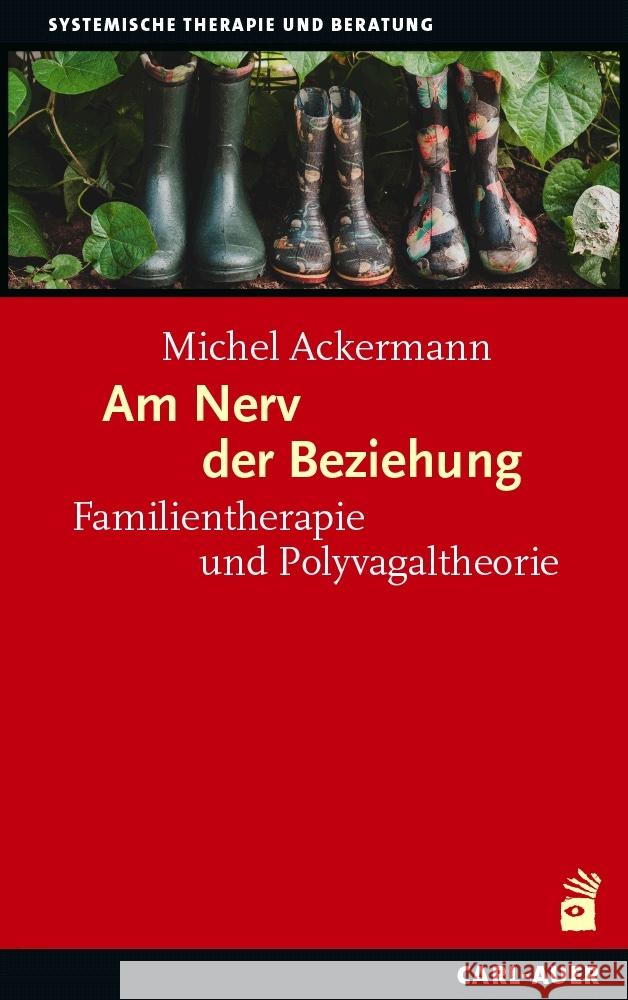 Am Nerv der Beziehung Ackermann, Michel 9783849705473