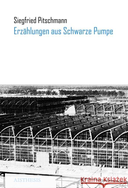 Erzählungen aus Schwarze Pumpe Pitschmann, Siegfried; Braun, Volker 9783849811662 Aisthesis