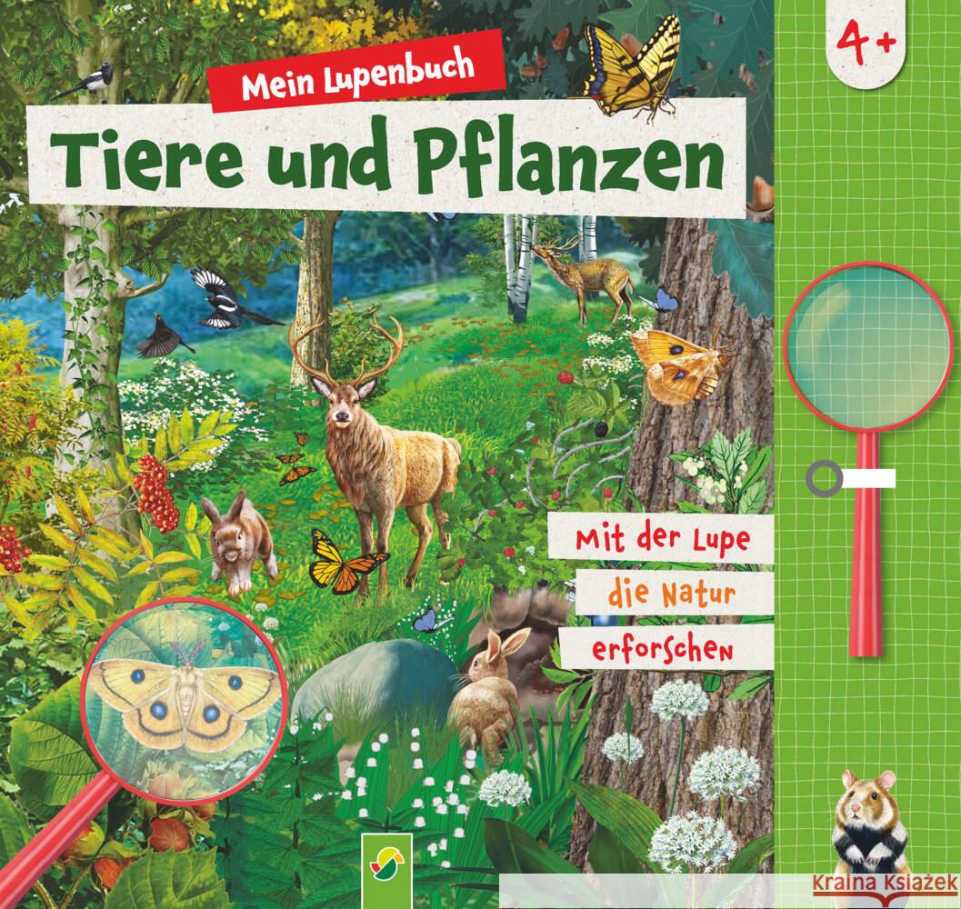 Mein Lupenbuch Tiere und Pflanzen Noa, Sandra, Würmli, Dr. Marcus, Roth, Elina 9783849945671 Schwager & Steinlein