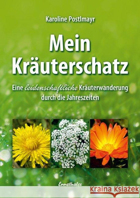 Mein Kräuterschatz : Eine leidenschaftliche Kräuterwanderung durch die Jahreszeiten Postlmayr, Karoline   9783850688406 Ennsthaler