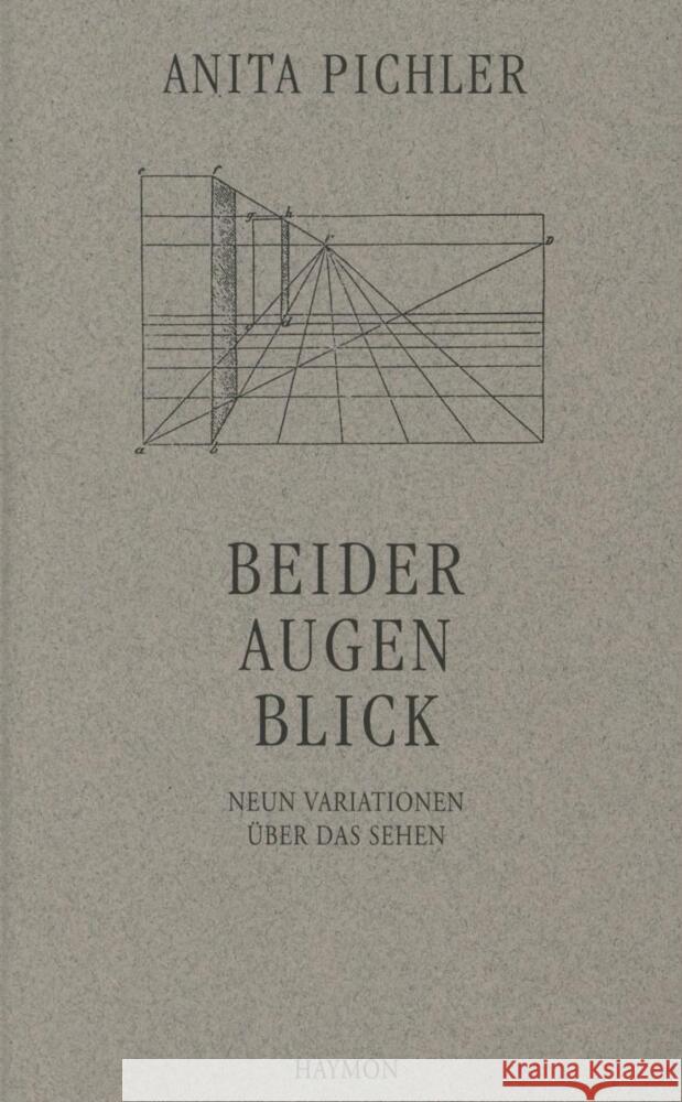 Beider Augen Blick Pichler, Anita 9783852181882 Haymon Verlag