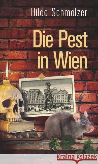 Die Pest in Wien Schmölzer, Hilde 9783852189765 Haymon Verlag