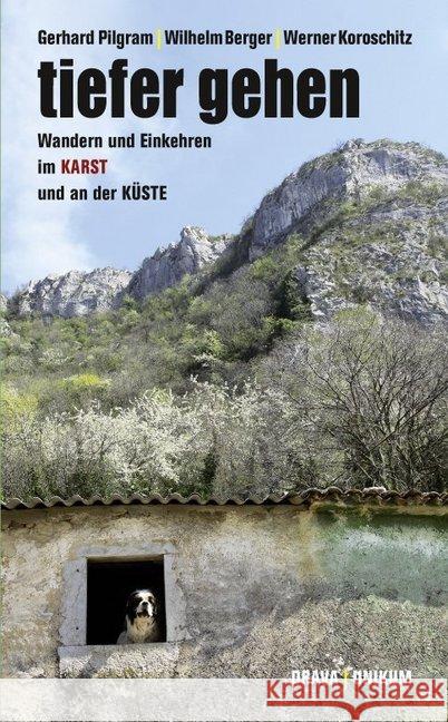 Tiefer gehen : Wandern und Einkehren im Karst und an der Küste Pilgram, Gerhard; Berger, Wilhelm; Koroschitz, Werner 9783854357094