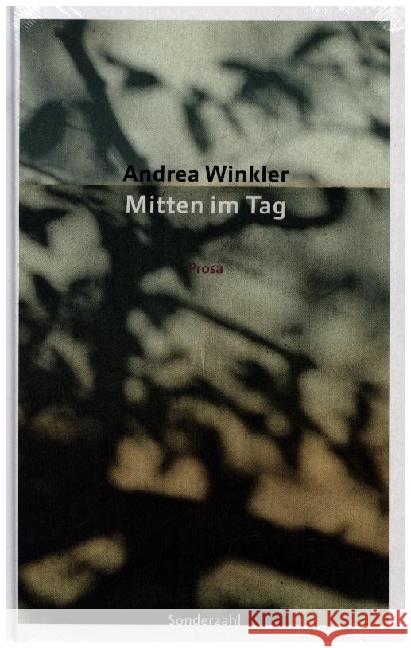 Mitten im Tag Winkler, Andrea 9783854496700