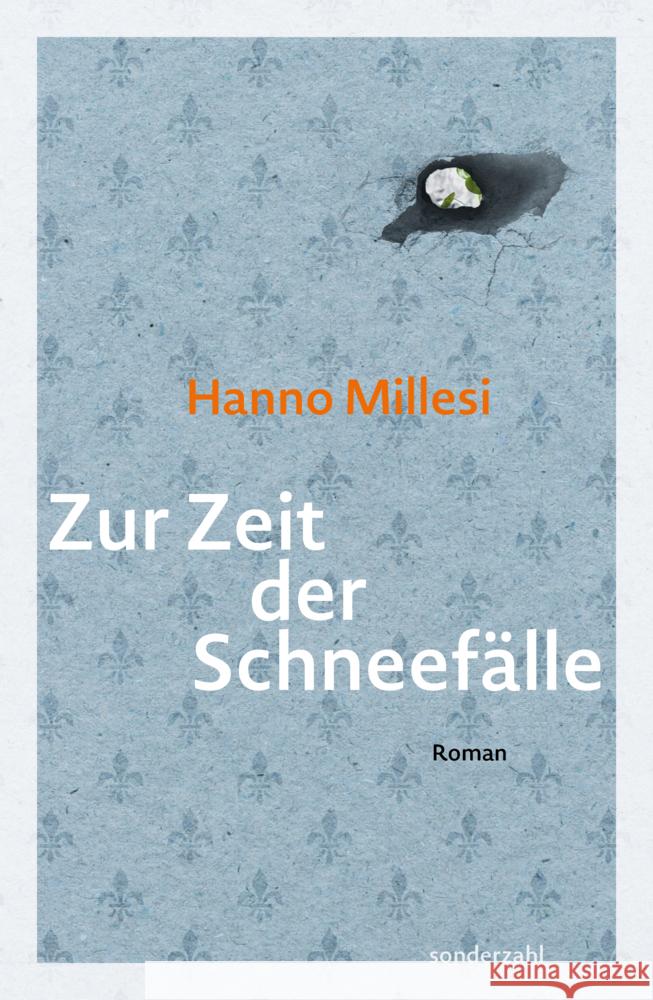 Zur Zeit der Schneefälle Millesi, Hanno 9783854496724